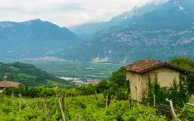 I sigilli del Trentino, alla scoperta della biodiversità contadina tra valli e montagne